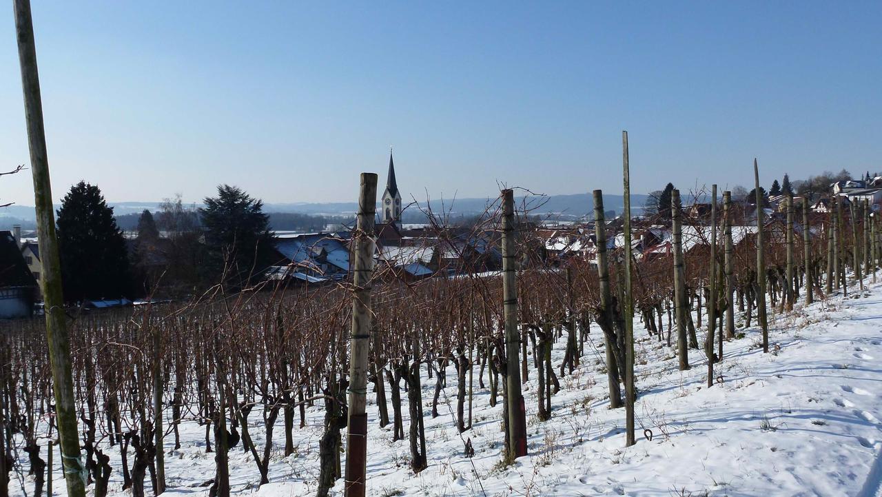 Bed & Breakfast Im Chellhof Benken  Buitenkant foto